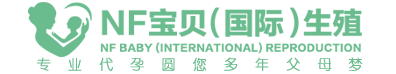 紫惢助孕网